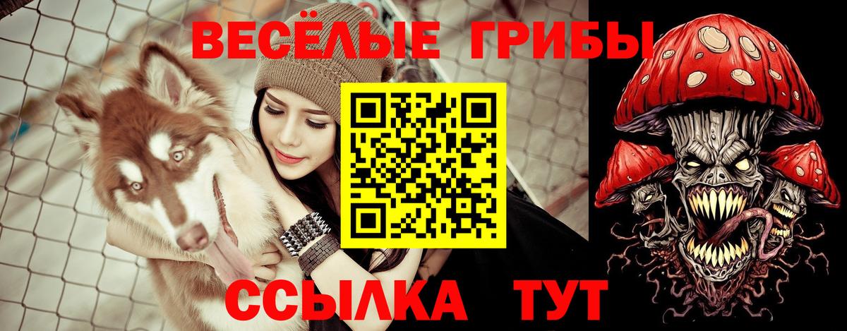Псилоцибиновые грибы прущие грибы  Вход с VPN  Луховицы 